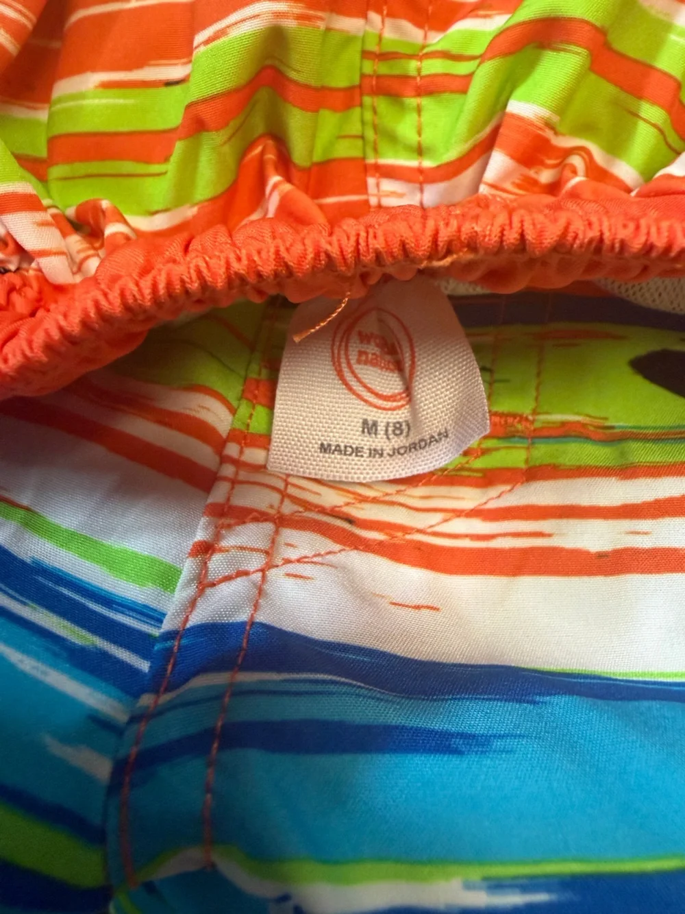 Boys Striped Swim Shorts in Blue, Green & Orange